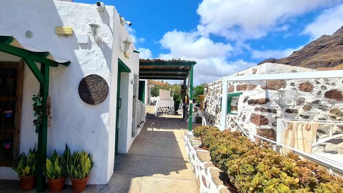 Gran Canaria historical house with mango plantation