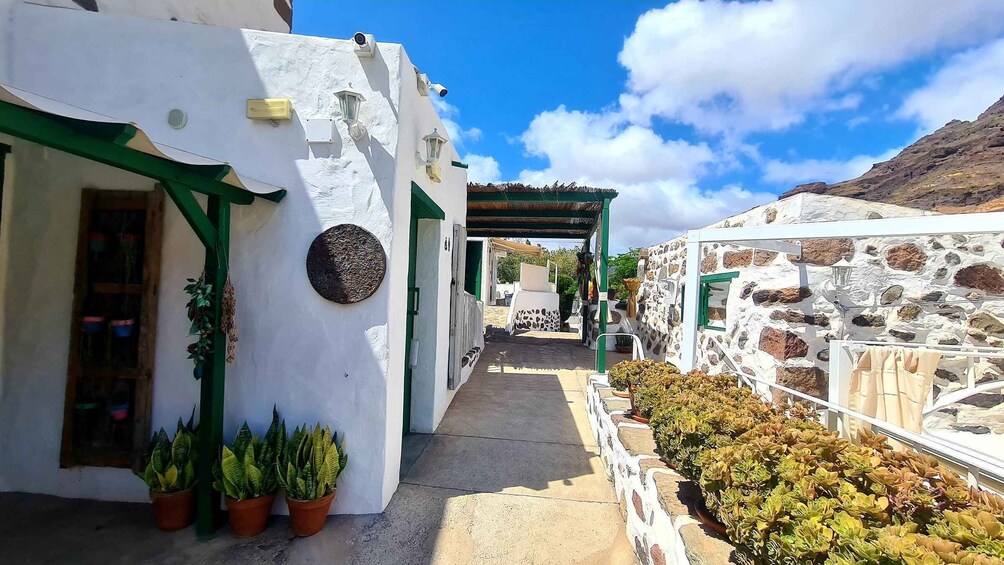 Gran Canaria historical house with mango plantation