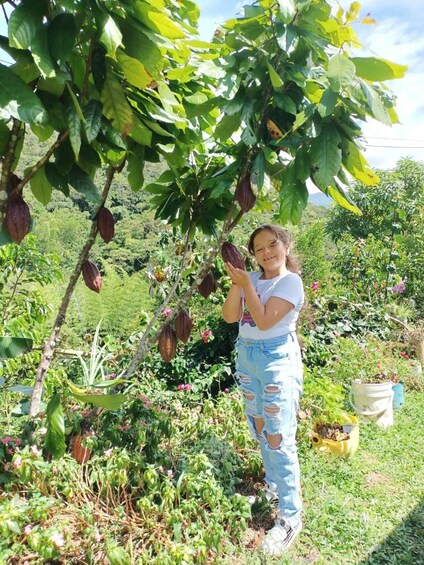 Picture 5 for Activity Cocoa Tour - San Rafael Antioquia from Medellín