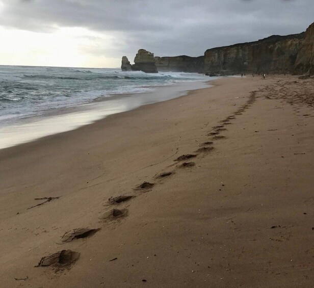 Picture 7 for Activity Private Tour: Great Ocean Road - Twelve Apostles