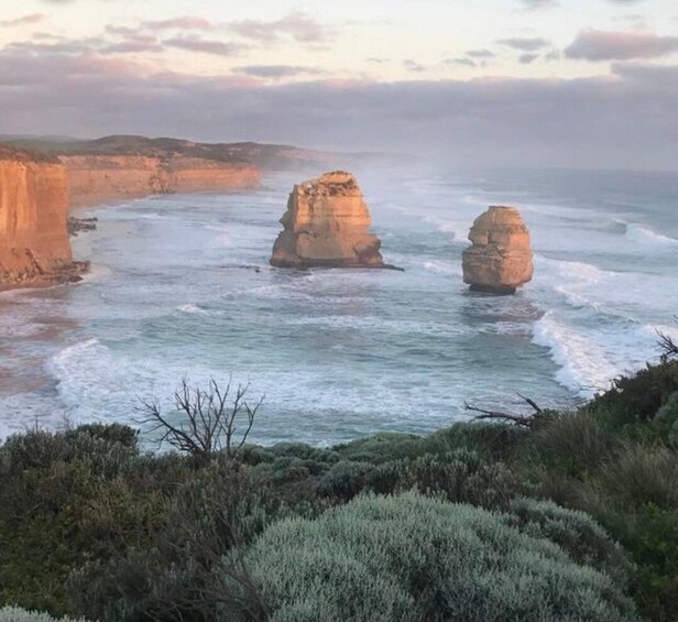 Picture 2 for Activity Private Tour: Great Ocean Road - Twelve Apostles