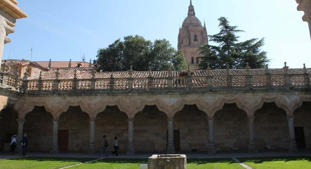 Picture 1 for Activity Salamanca: Monuments and Landmarks Guided Walking Tour