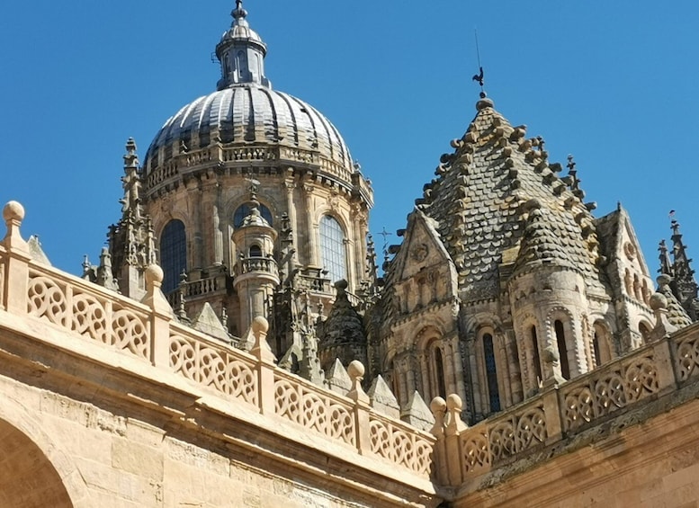 Picture 6 for Activity Salamanca: Monuments and Landmarks Guided Walking Tour