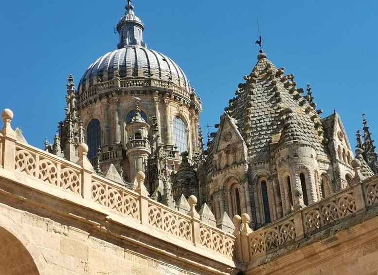 Picture 6 for Activity Salamanca: Monuments and Landmarks Guided Walking Tour