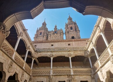 Salamanca: Monuments and Landmarks Guided Walking Tour