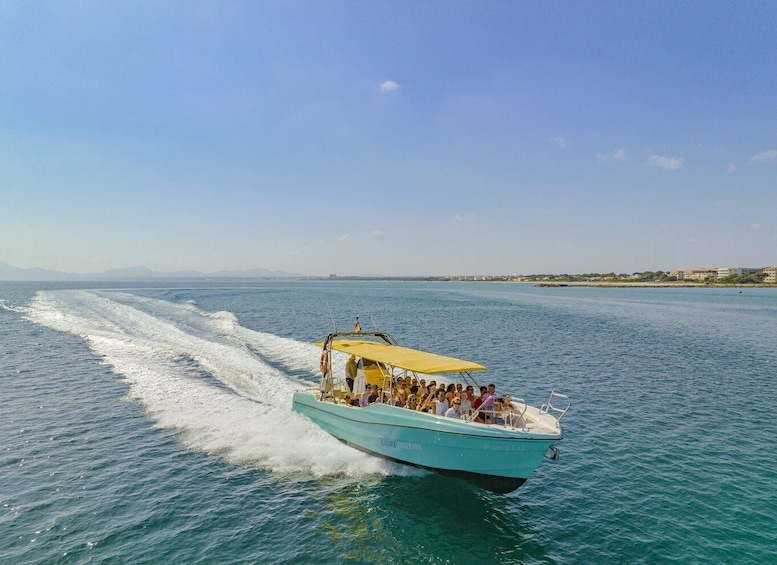 Picture 2 for Activity Alcudia: Coll Baix Beach & Sea Caves Cruise with Snorkeling