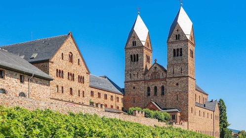 Rüdesheim: Private Guided Walking Tour