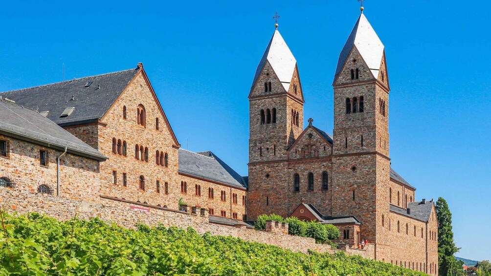 Rüdesheim: Private Guided Walking Tour