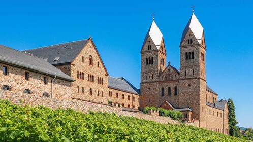 Rüdesheim: Privéwandeling met gids