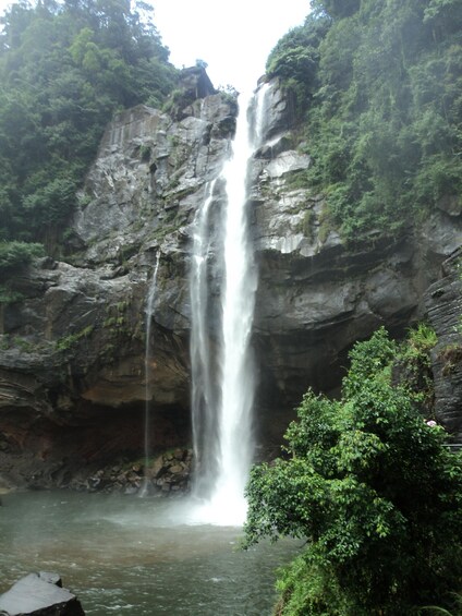 Picture 4 for Activity Negombo to Adams Peak Tour