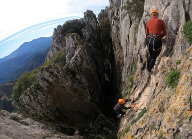 From Estepona: Vía Ferrata de Benalauria climbing tour