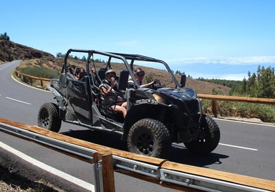 Tenerife: Teide Guided Family Morning or Sunset Buggy Tour