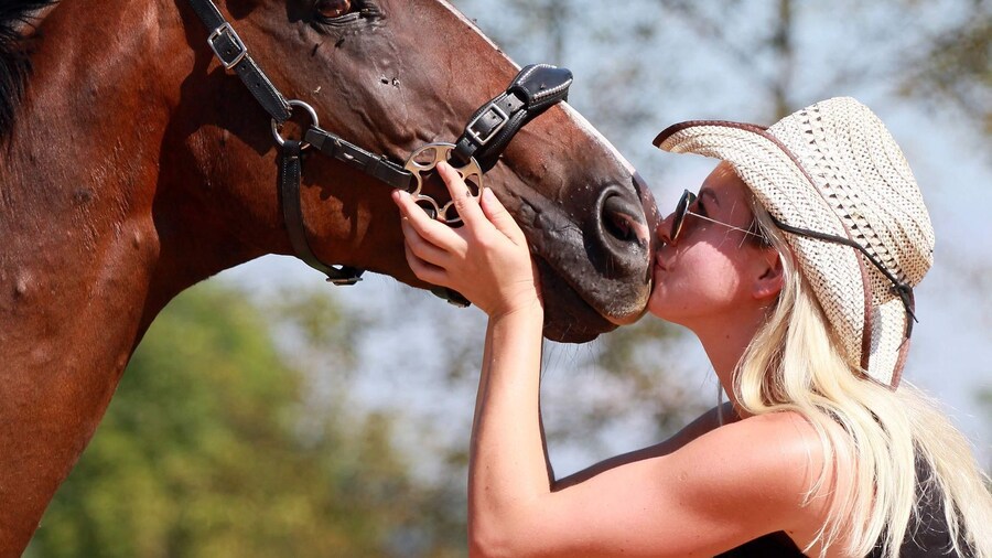 Wild Spring Ranch: Rakovica, Croatia, Horse Riding
