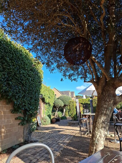 Picture 10 for Activity From Auckland: Waiheke Island Wine Cellar Tour