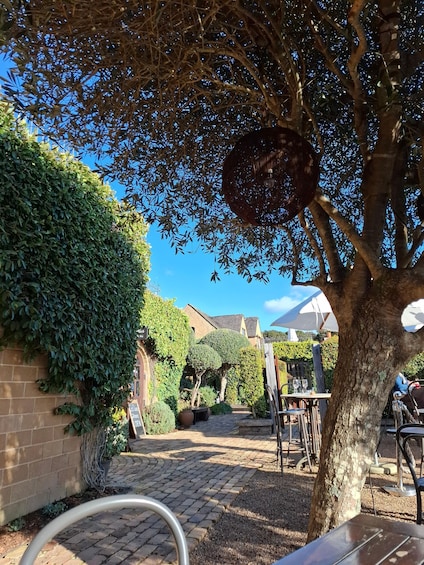 Picture 10 for Activity From Auckland: Waiheke Island Wine Cellar Tour