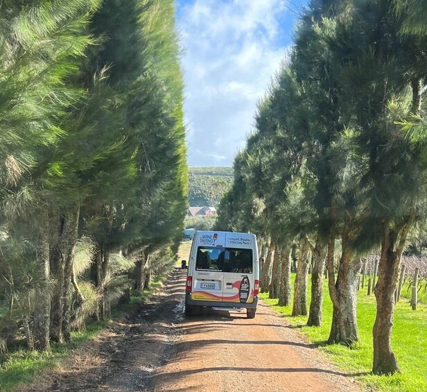 Picture 9 for Activity From Auckland: Waiheke Island Wine Cellar Tour