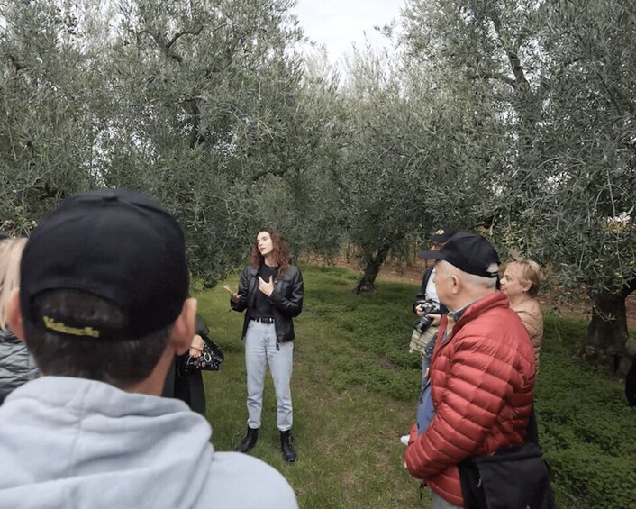 Picture 8 for Activity Barletta-Andria-Trani: oil mill tour and oil tasting