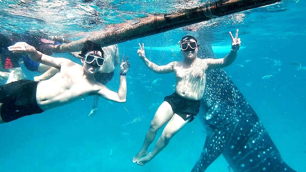 Picture 24 for Activity Cebu: Whale Shark Swim and Kawasan Canyoneering Group Tour