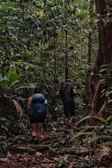 Picture 1 for Activity Overnight Sirena & San Pedrillo, Corcovado National Park