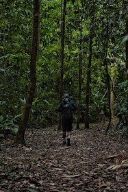 Overnight Sirena & San Pedrillo, Corcovado National Park