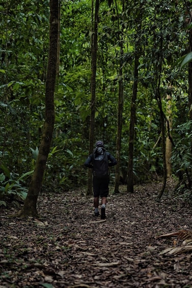 Overnight Sirena & San Pedrillo, Corcovado National Park