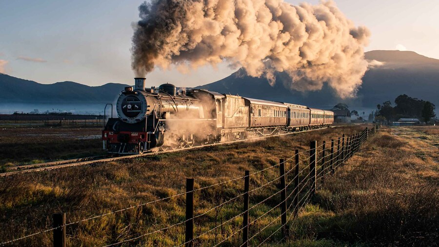 From Cape Town: Steam Train Ticket to Elgin Railway Market