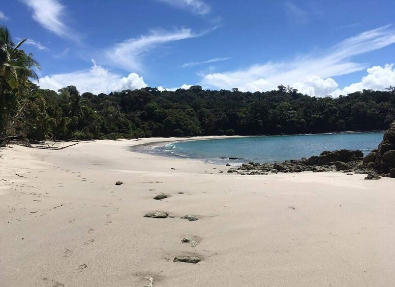 Picture 2 for Activity Manuel Antonio National Park Guided Tour