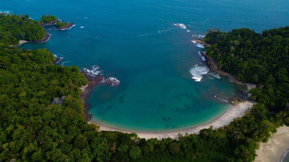 Picture 15 for Activity Manuel Antonio National Park Guided Tour