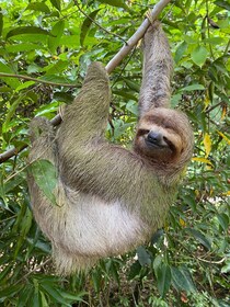 Manuel Antonio National Park Guided Tour