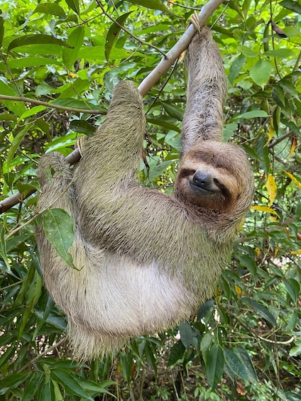 Manuel Antonio National Park Guided Tour