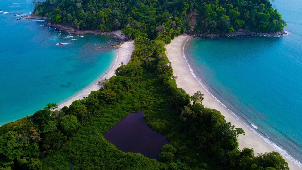 Picture 16 for Activity Manuel Antonio National Park Guided Tour