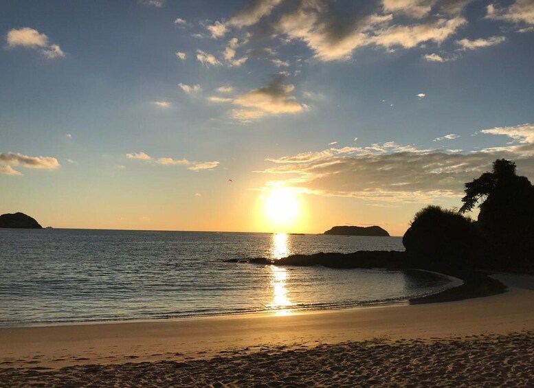 Picture 17 for Activity Manuel Antonio National Park Guided Tour