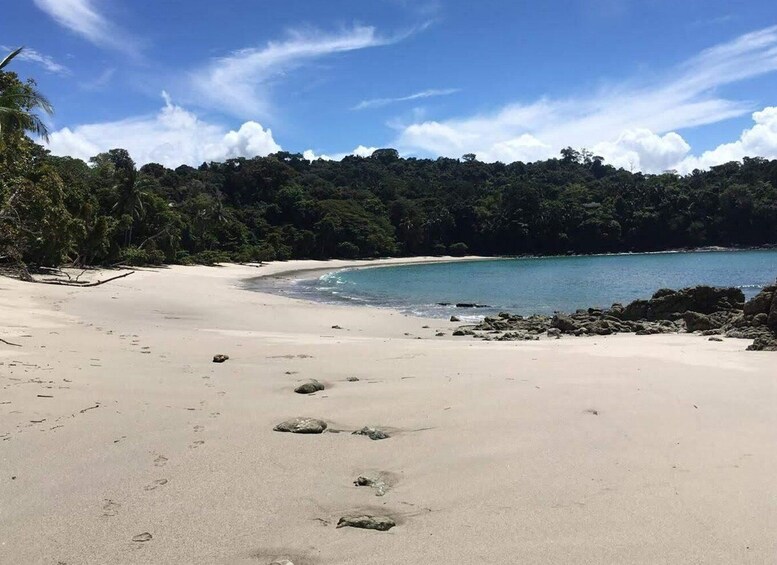 Picture 2 for Activity Manuel Antonio National Park Guided Tour