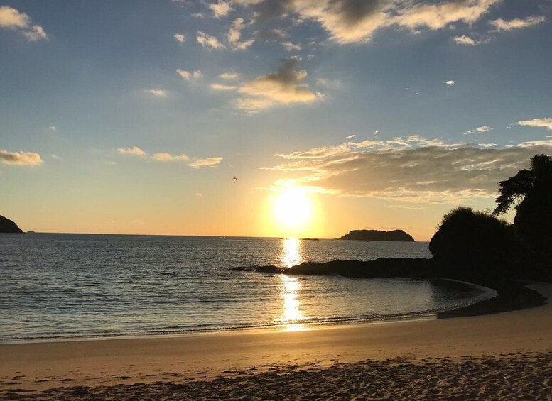 Picture 17 for Activity Manuel Antonio National Park Guided Tour