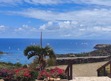 From St John's: Antigua Historical Half-Day Tour and Beach