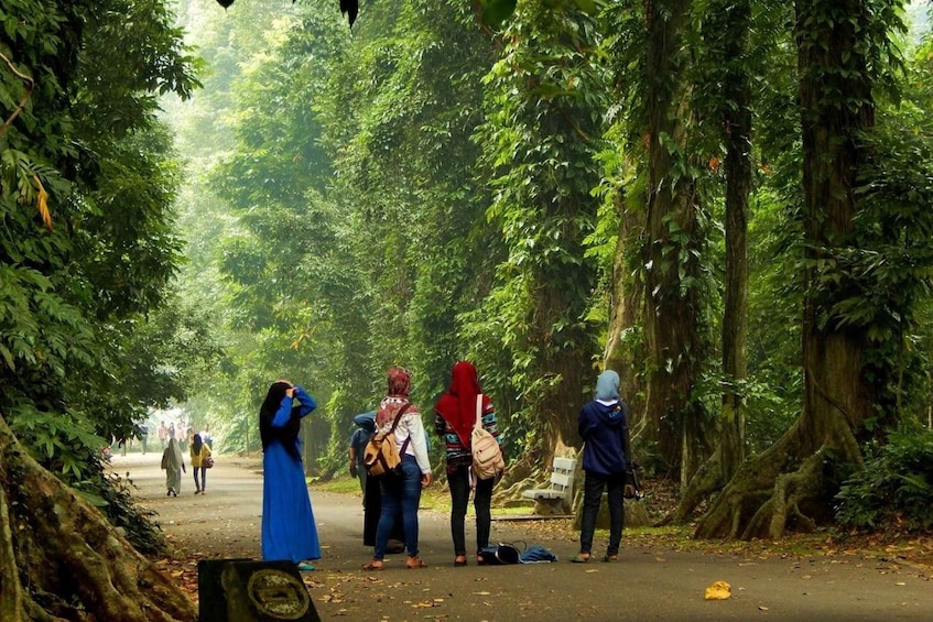 Picture 6 for Activity Bogor: Into The Wild Tour