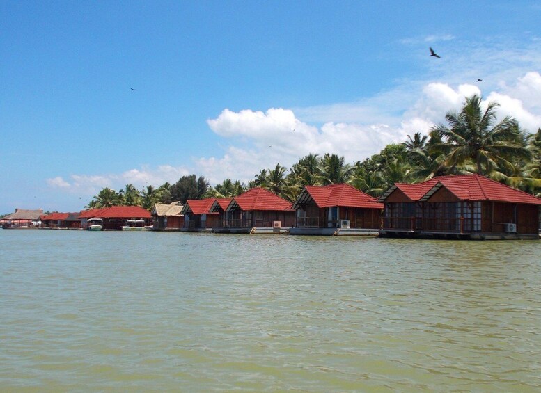 Picture 2 for Activity Golden Triangle with Exotic Kerala Tour