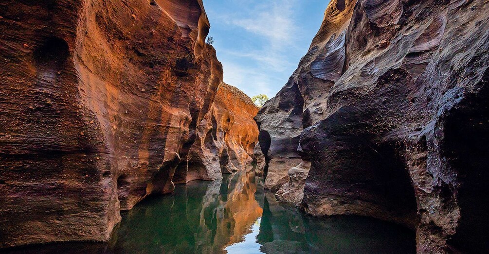 Picture 2 for Activity Cobbold Gorge 3 hour tour