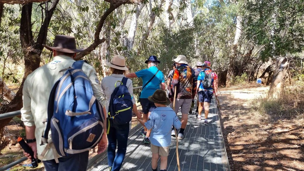 Picture 4 for Activity Cobbold Gorge 3 hour tour