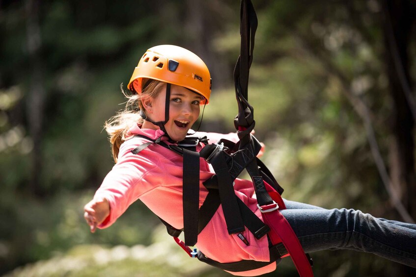 Picture 8 for Activity Coromandel: Guided Zipline Tour Experience