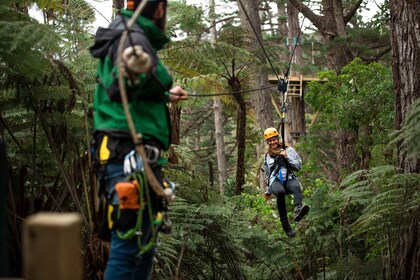 Coromandel: Guided Zipline Tour Experience