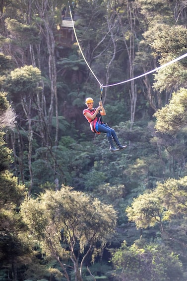 Picture 7 for Activity Coromandel: Guided Zipline Tour Experience