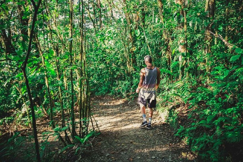 Picture 2 for Activity From Monteverde: Monteverde Suspension Bridge Guided Hike