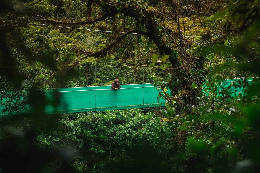 Picture 7 for Activity From Monteverde: Monteverde Suspension Bridge Guided Hike