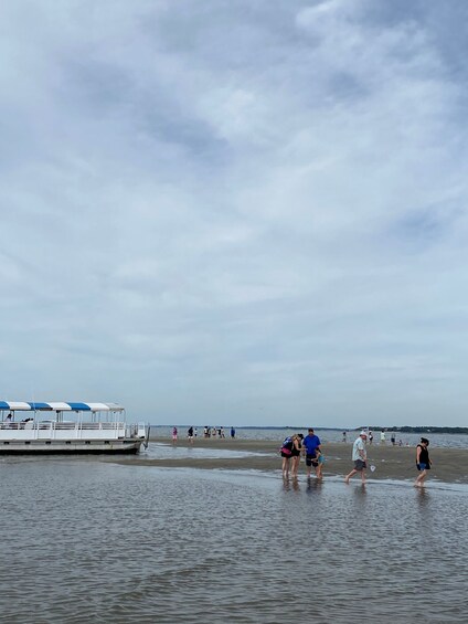 Picture 5 for Activity Hilton Head Island: Disappearing Island Dolphin Tour