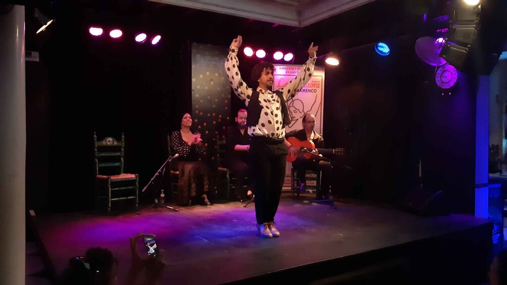 Picture 3 for Activity Jerez de la Frontera: Flamenco Show (optional tapas)