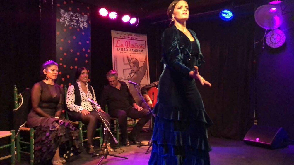 Picture 2 for Activity Jerez de la Frontera: Flamenco Show (optional tapas)
