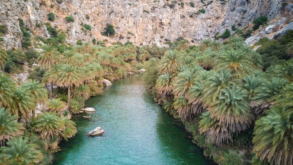 Picture 12 for Activity From Rethymnon Area: Private Trip to Preveli & Damnoni Beach