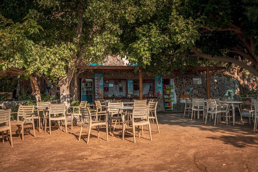 Picture 22 for Activity From Rethymnon Area: Private Trip to Preveli & Damnoni Beach