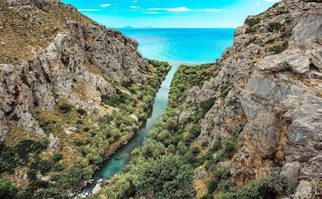 Fra Rethymnon-området: Privat tur til Preveli og Damnoni Beach